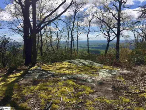 Landrum Homesite with Expansive Views