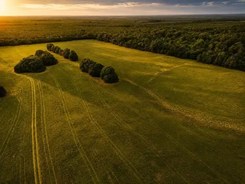 Expansive Land in Barnwell, SC
