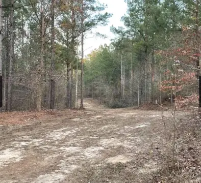 Aiken Land for Development
