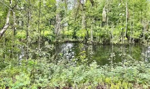 Land with Building Potential