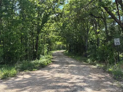 Recreational Hunting Land Tract