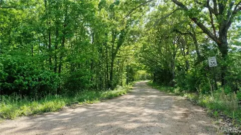 Recreational Timber Land