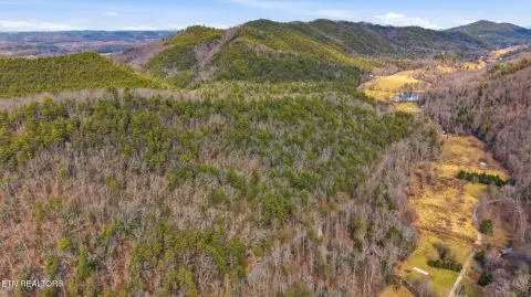 Tellico Plains Land For Sale