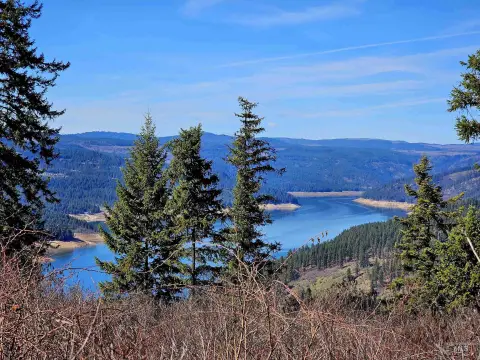 Orofino Land with Reservoir View