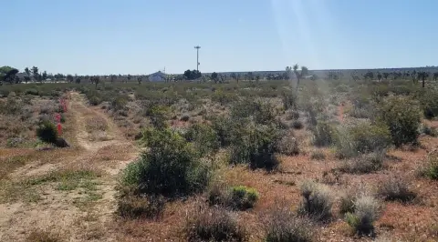 Palmdale Land Near Pearblossom Highway