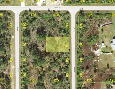 Residential Homesite in Port Charlotte