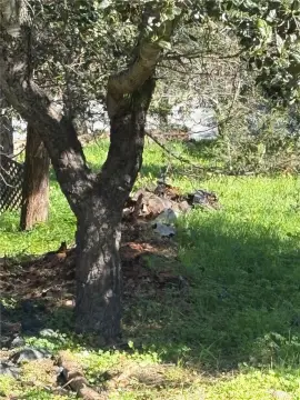 Residential Parcel in Coastal Cambria