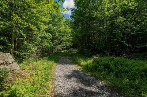 Unrestricted Wooded Hunting/Recreation Land