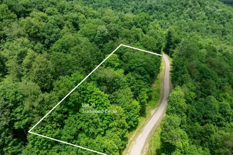 Wooded Mountain View Homesite