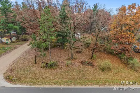 Wooded Lot in Newaygo, MI