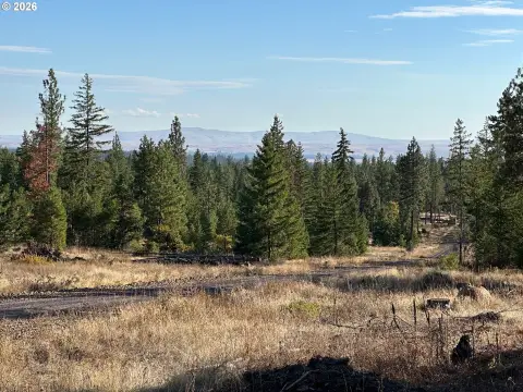 Goldendale Land with Mountain Views