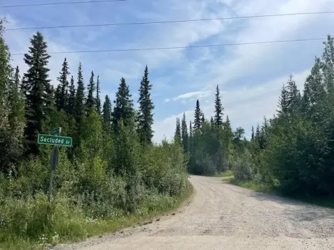 Wooded Lot in North Pole