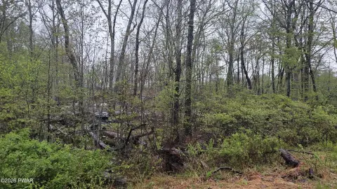 Wooded Lot Near Lake Wallenpaupack