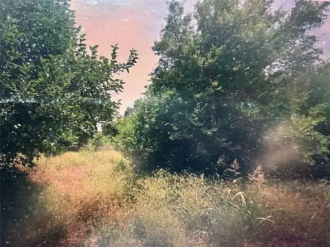 Residential Lot in Wichita Falls