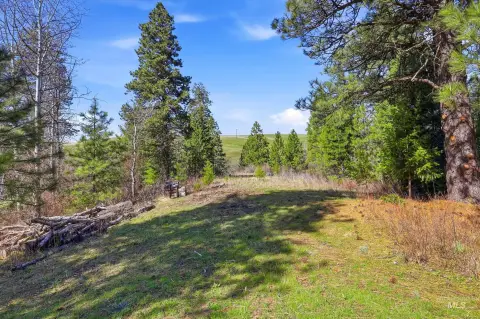 Acreage with Mature Trees