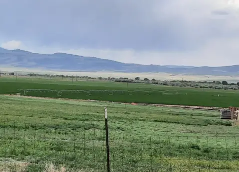 Lush Irrigated Farmland Opportunity