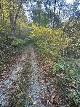 Wooded Recreational Land