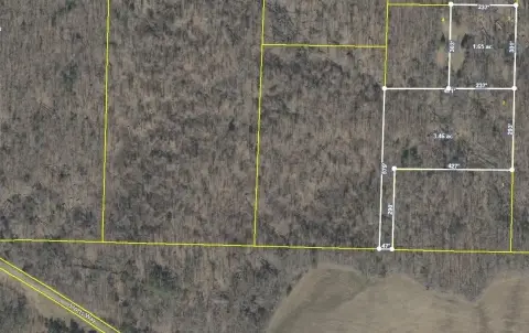Undeveloped Land in Piperton, TN
