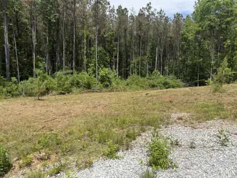 Cleared Land Ready for Homestead