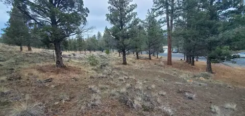 Lake Shastina View Lot