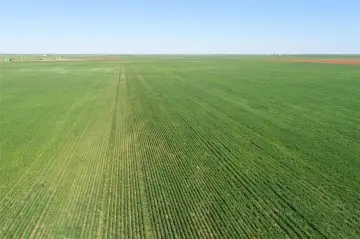 Productive Farmland in Wilbarger County