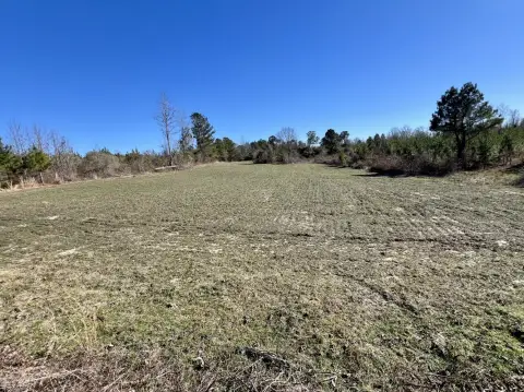 Mollie, AL Vacant Land