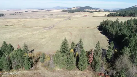 Timbered Hunting Land