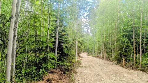 Private View Lot with Driveway