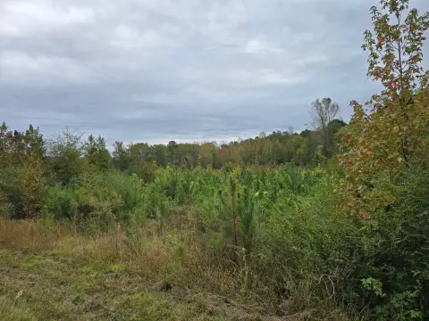 7 Acres Residential Lot