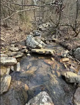 67.5 Acres Surrounded by Forest