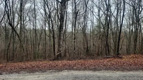 Crossville, TN Wooded Lot