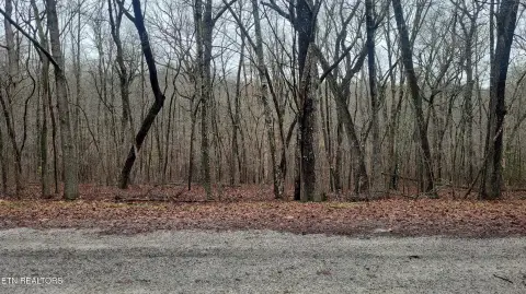 Crossville, TN Wooded Lot