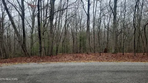 Crossville, TN Wooded Lot