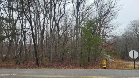 Crossville, TN Wooded Lot