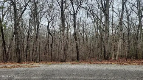 Crossville, TN Wooded Lot