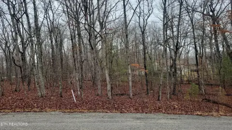 Crossville, TN Wooded Lot