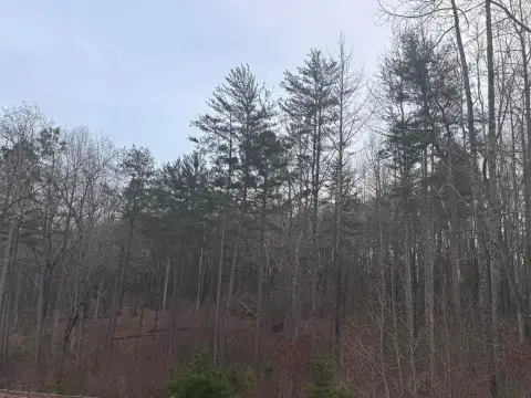 Dawsonville Land for Custom Estate