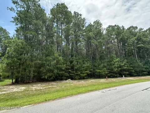 Wooded Residential Lot