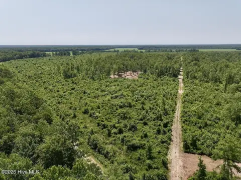 Recreational Hunting Land Tract