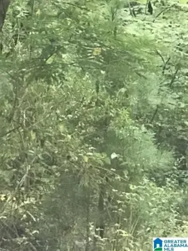 Alpine Bay Wooded Lot