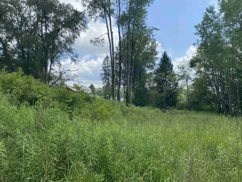 Corner Commercial and Residential Lot