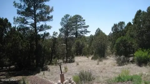 Residential Land in Overgaard, Arizona