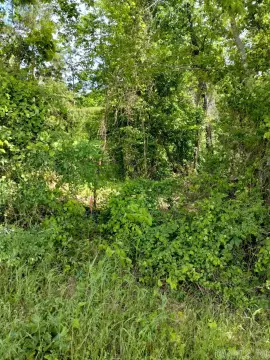 Residential Lot in Rosboro, AR