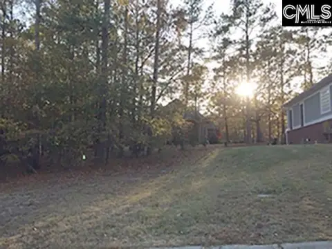 Partially Cleared Residential Lot