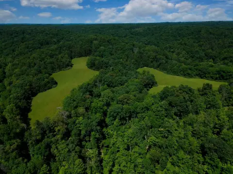 Vacant Land Tract