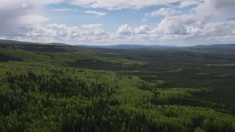 Hunting Land Parcel