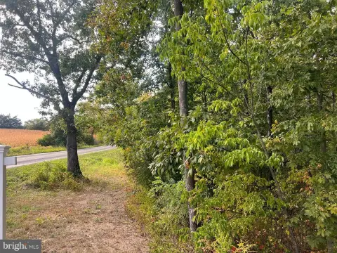 2.65 Acre Corner Lot