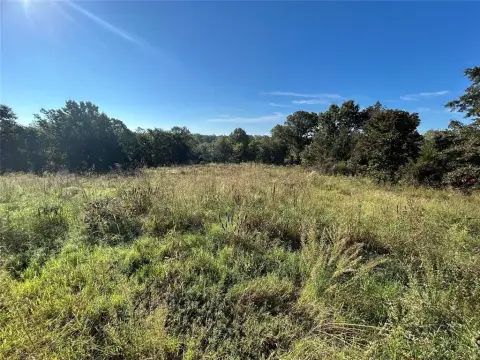 20 Acres Wooded Land