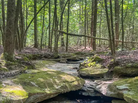 Tennessee Wilderness Acreage For Sale