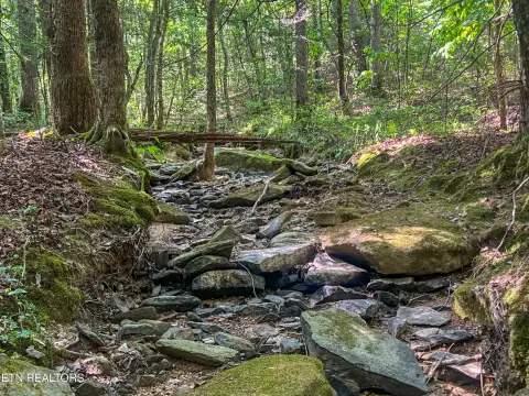 Tennessee Wilderness Acreage For Sale